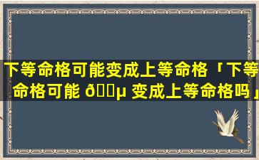 下等命格可能变成上等命格「下等命格可能 🐵 变成上等命格吗」